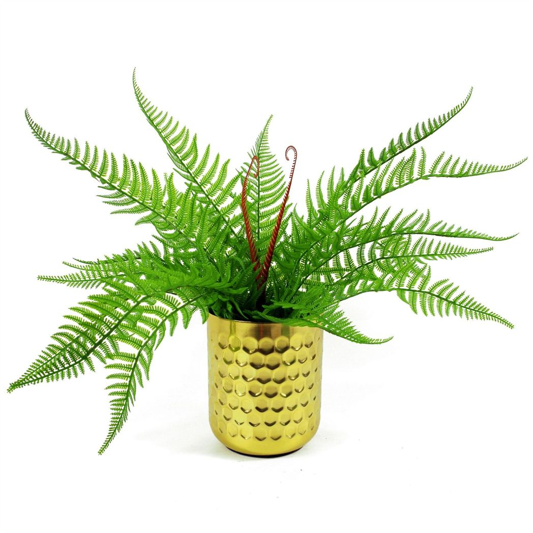 60cm Medium Artificial Bushy Dixie Wood Fern Plant – Dark Green Faux Fern Stem