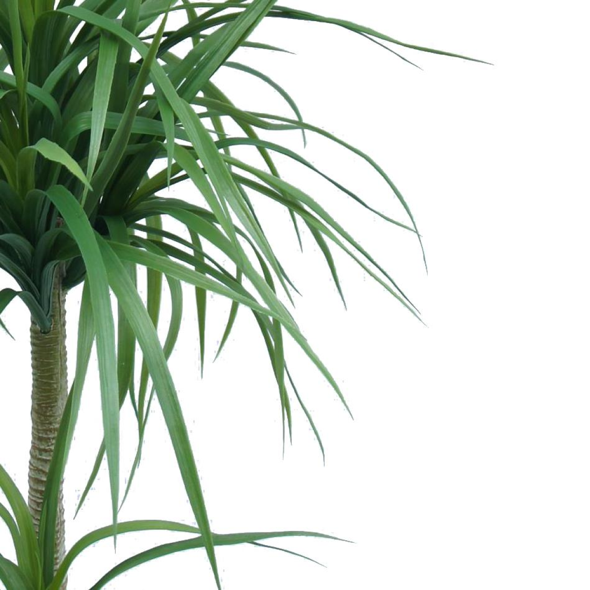 90cm Small Artificial Dracaena Tree – Lifelike Indoor Tropical Plant