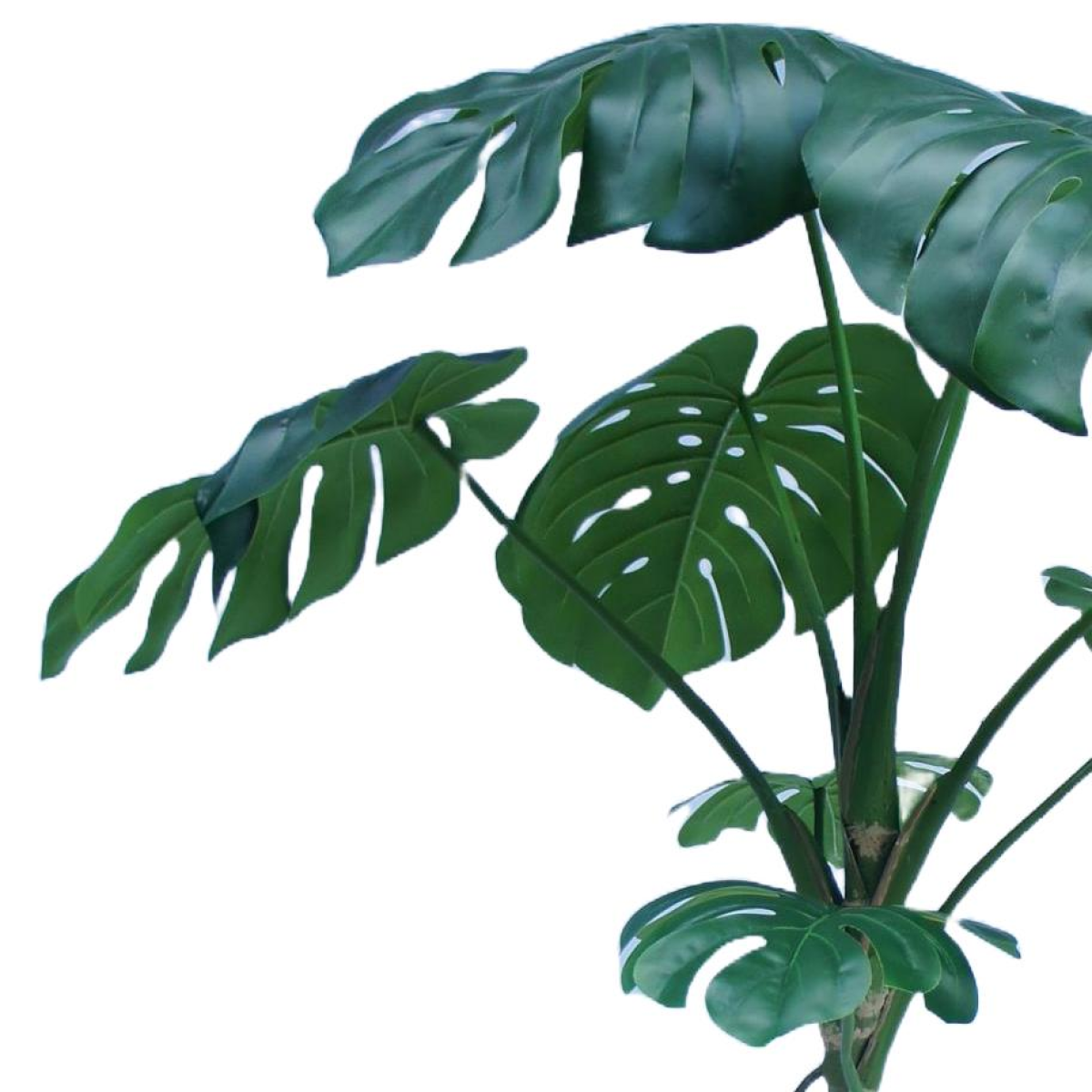 180cm Extra Large Green Monstera Artificial Plant – Lifelike Indoor Tropical Plant