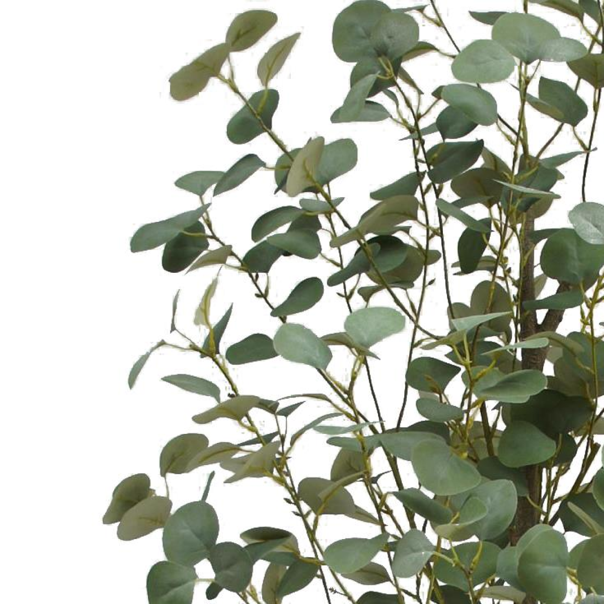 180cm Large Artificial Green Eucalyptus Tree – Faux Eucalyptus Plant