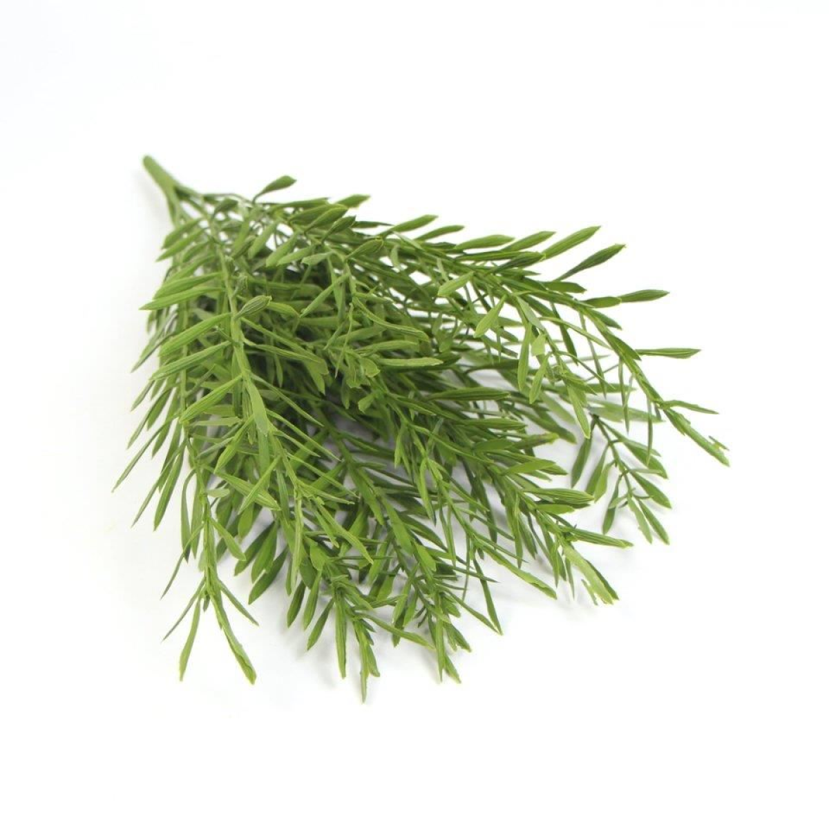 6 x 40cm Small Fire Resistant Artificial Grass Stems – Faux Grass Plant Set
