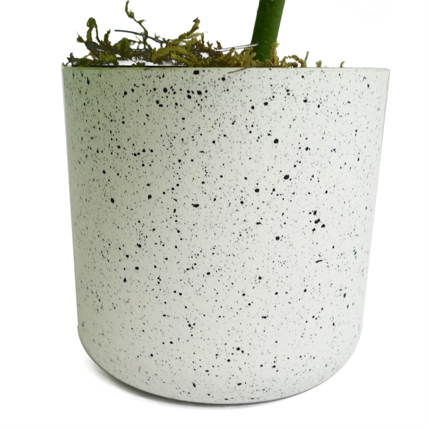 30cm Small Variegated Green Artificial Monstera Trailing Plant – Realistic Faux Monstera in White Planter