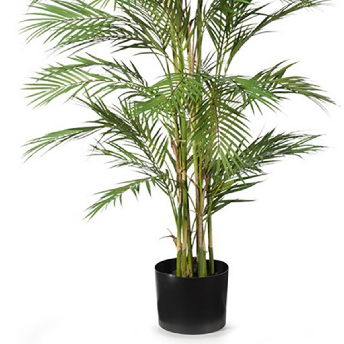 180cm Large Areca Artificial Palm Tree – UV Resistant Outdoor Tropical Palm