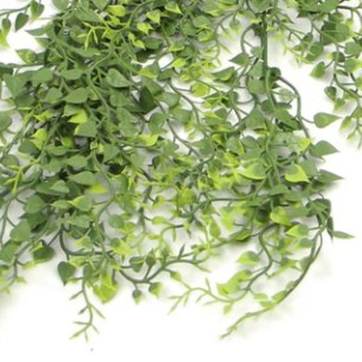 82cm Medium Hanging Artificial Trailing Button Fern – UV & Fire Resistant Faux Plant