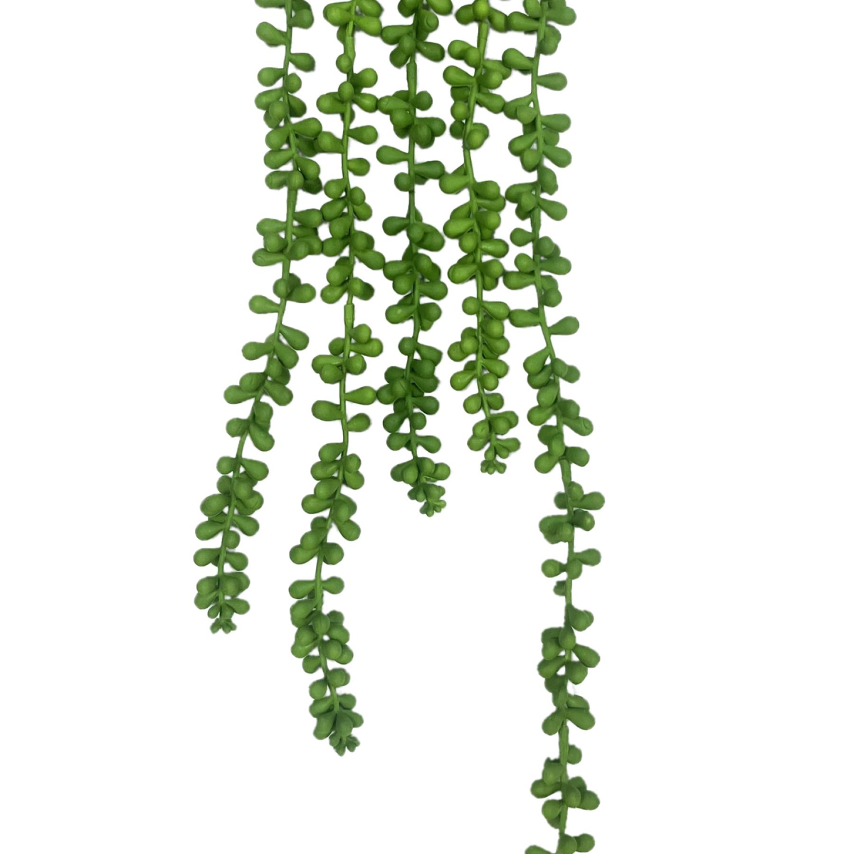70cm Medium Artificial String of Pearls Hanging Plant – Faux Trailing Foliage