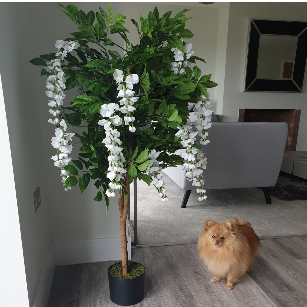 130cm Large Artificial White Wisteria Tree with Gold Planter – Premium Faux Tree