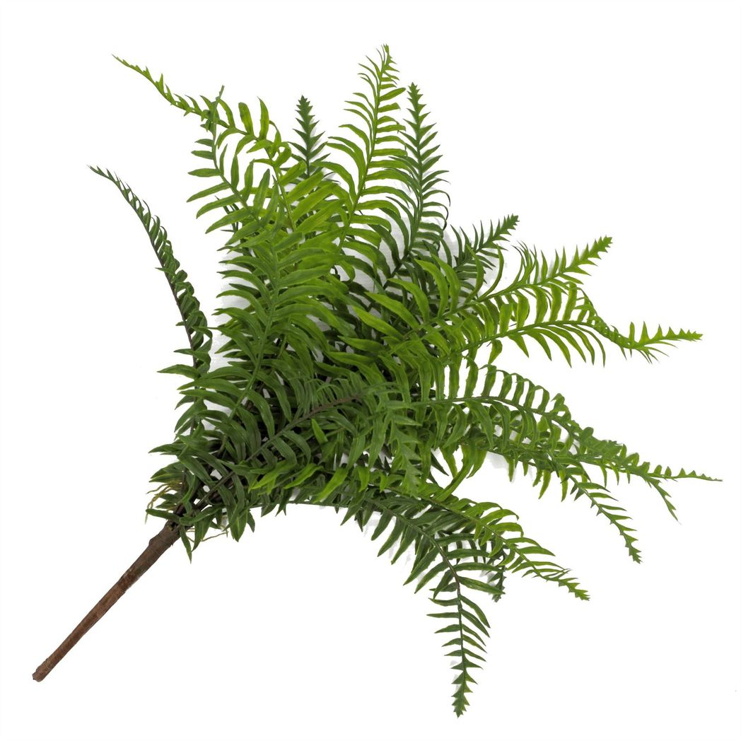 50cm Small Artificial Boston Fern Plant – Faux Fronded Fern