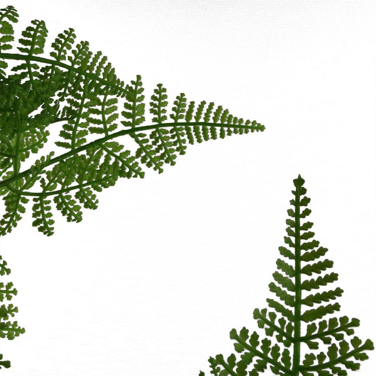 90cm Large Artificial Fern Plant – Realistic Natural Moss Base
