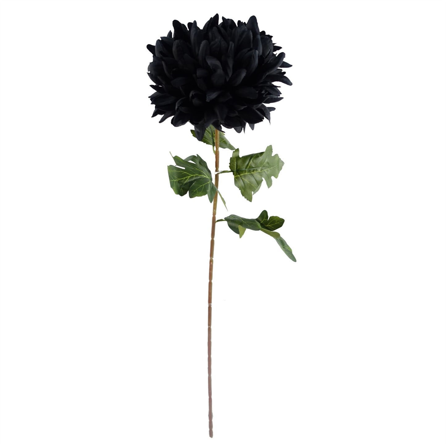 75cm Medium Artificial Black Chrysanthemum Stem – Realistic Reflex Flower