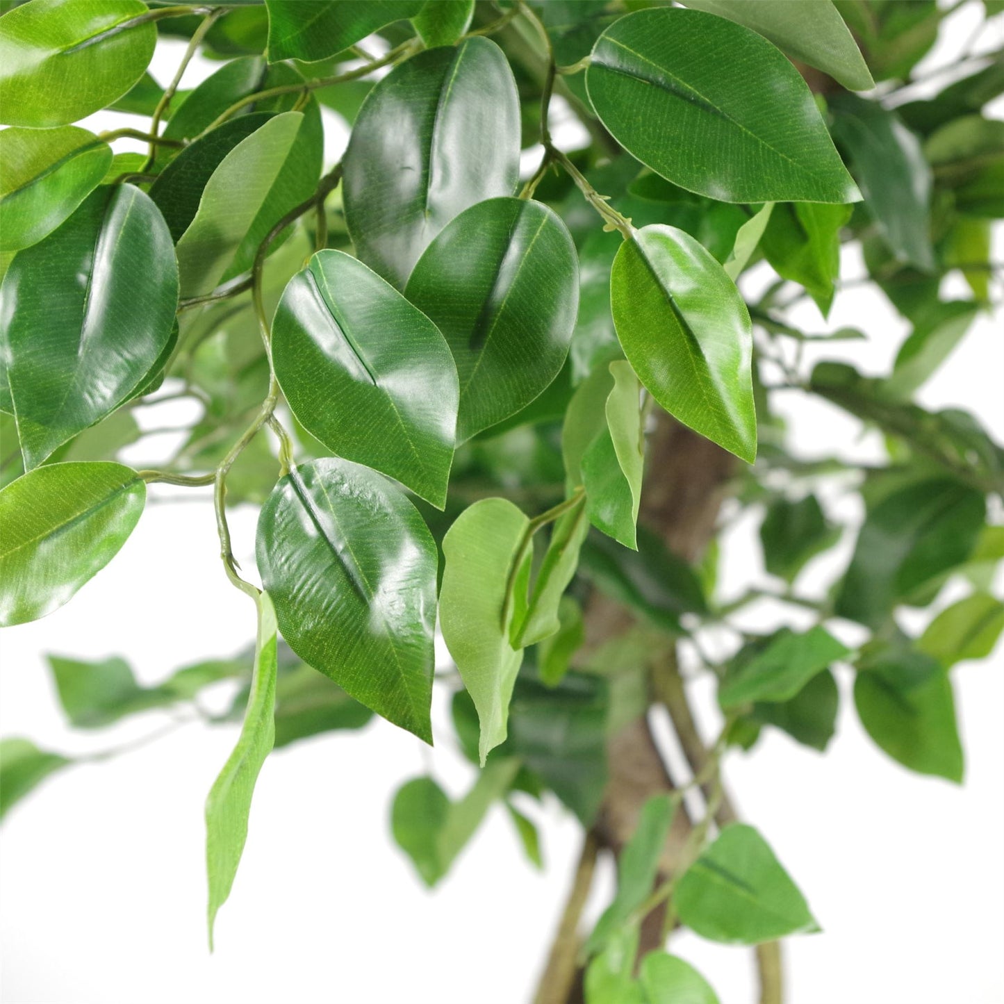 120cm Medium Artificial Ficus Tree – Japanese Fruticosa Style with Realistic Twisted Trunk