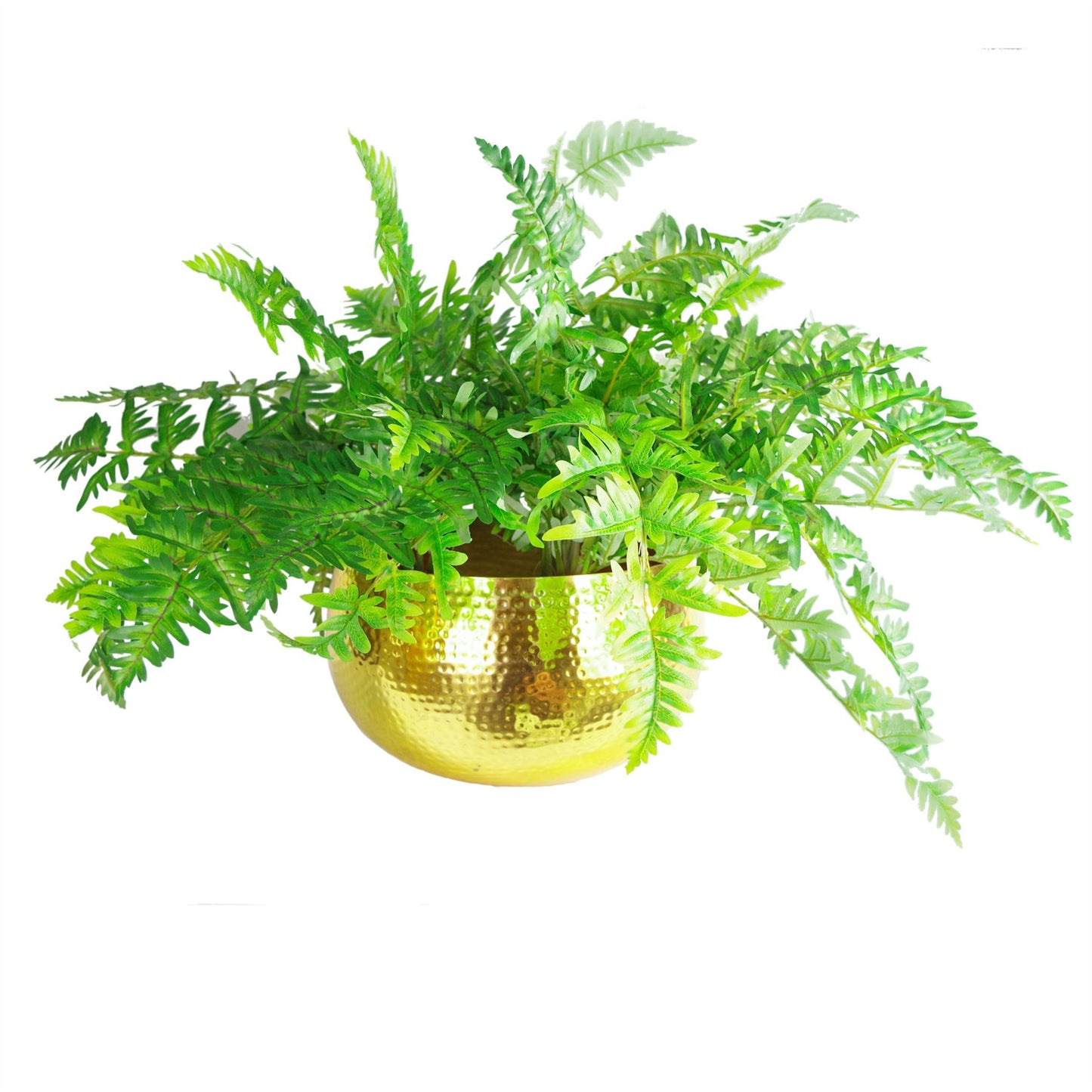 32cm x 20cm Large Hammered Gold Bowl Planter – Straight-Edge Gold Plant Pot