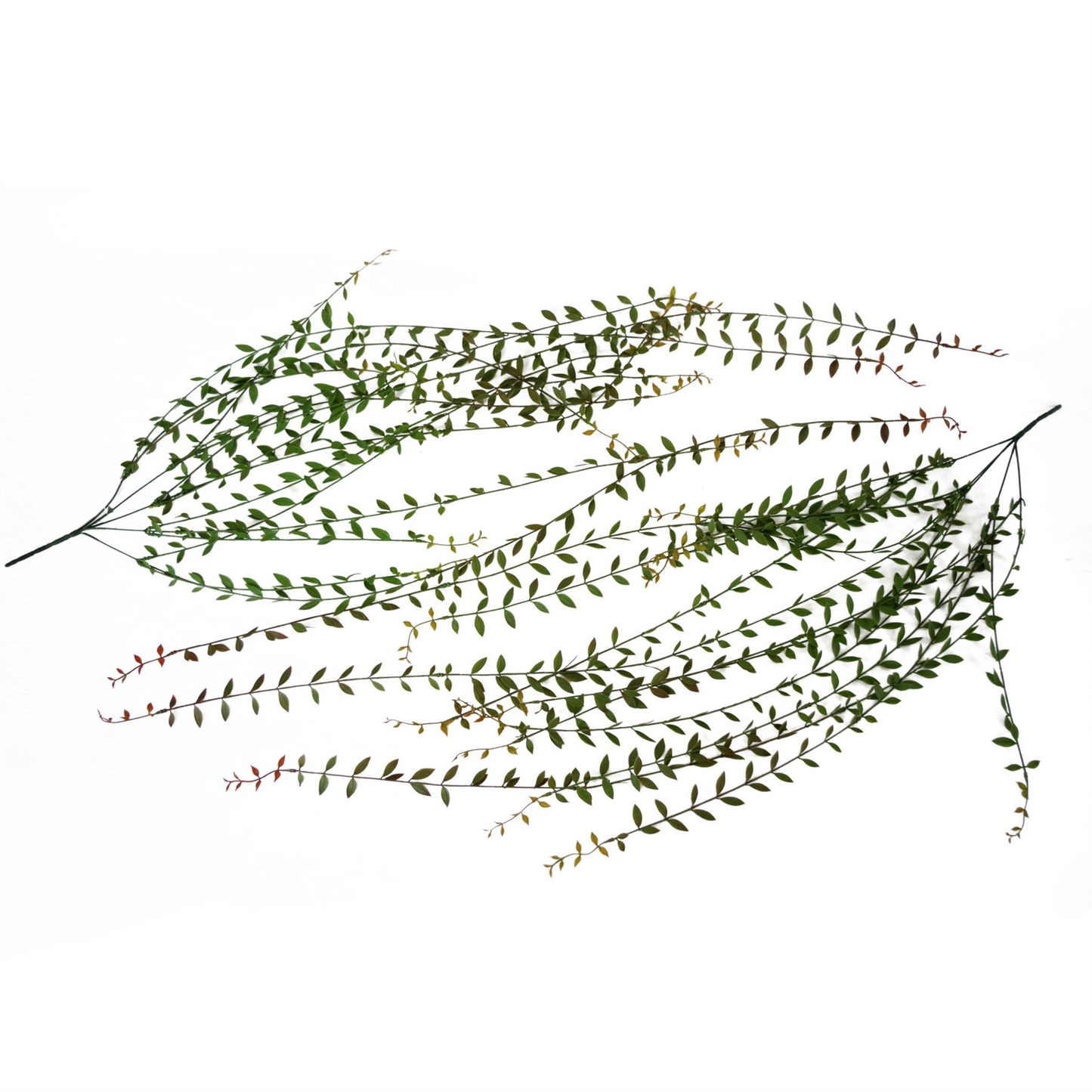 12 x 120cm Large Artificial Hanging String of Pearls – Extra Long Trailing Vine Set