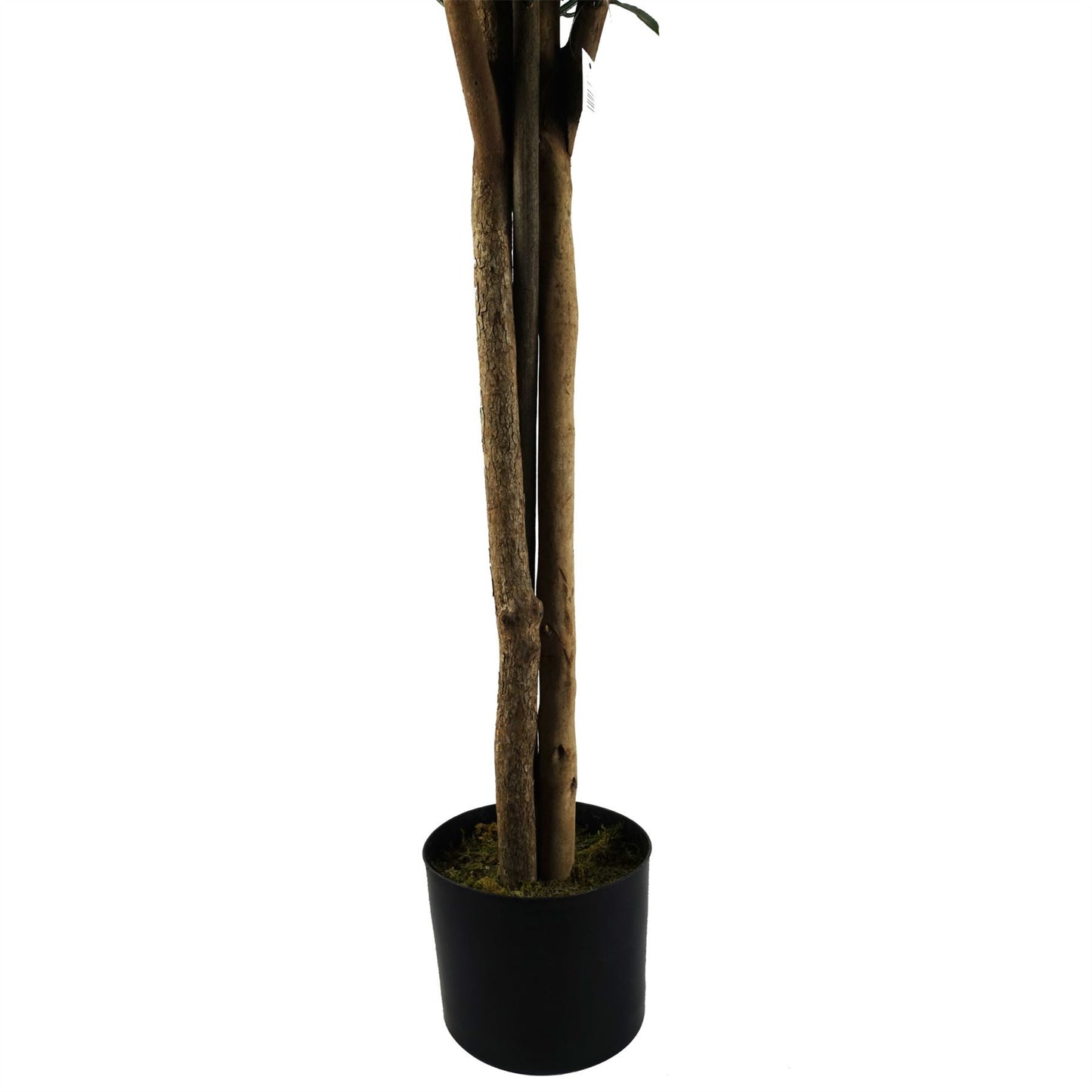 Pair of 120cm Medium Artificial Bay Trees Laurel – UV Resistant Outdoor Topiary with Real Wood Trunks