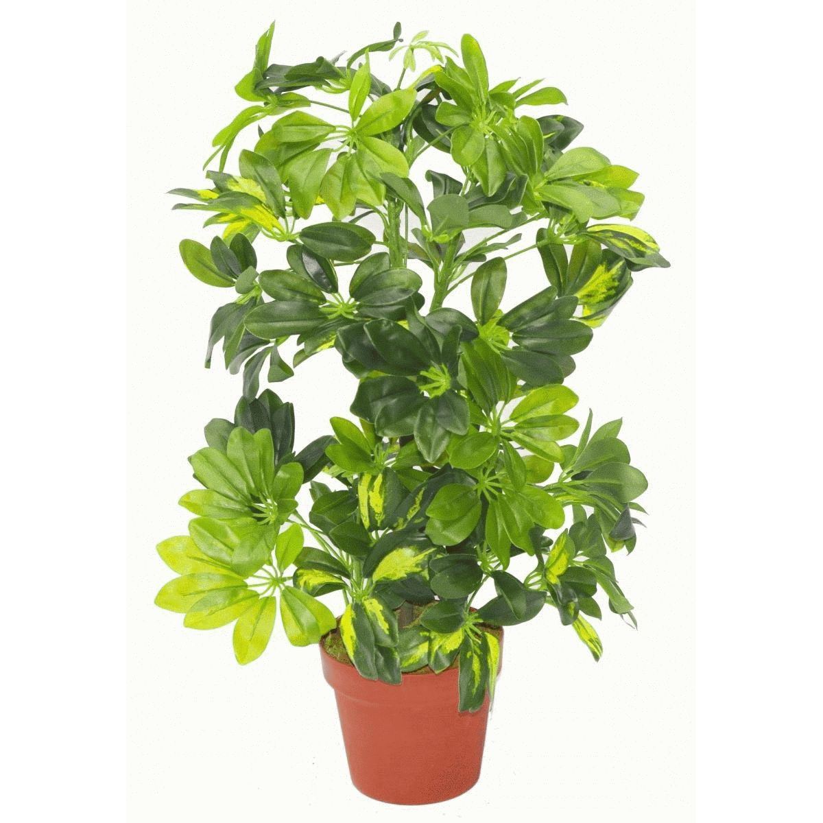 75cm Medium Artificial Gold Capella Umbrella Plant – Realistic Schefflera Arboricola