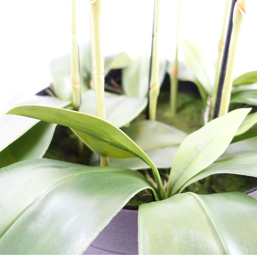 110cm Large Black Artificial Orchid Plant – 41 Real Touch Flowers for Modern Home Décor