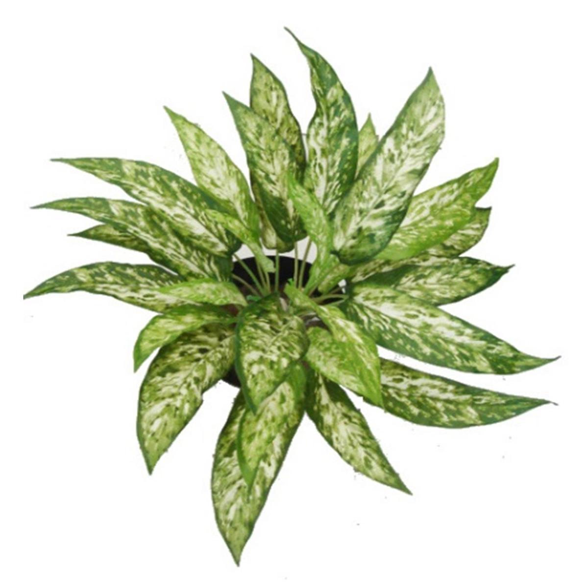 45cm Small Fire Retardant Artificial Aglaonema Bush – Realistic Faux Foliage Stem