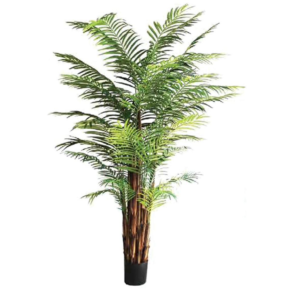 210cm Extra Large Fire Retardant Areca Artificial Palm Tree – Realistic & Safe Indoor Tropical Palm