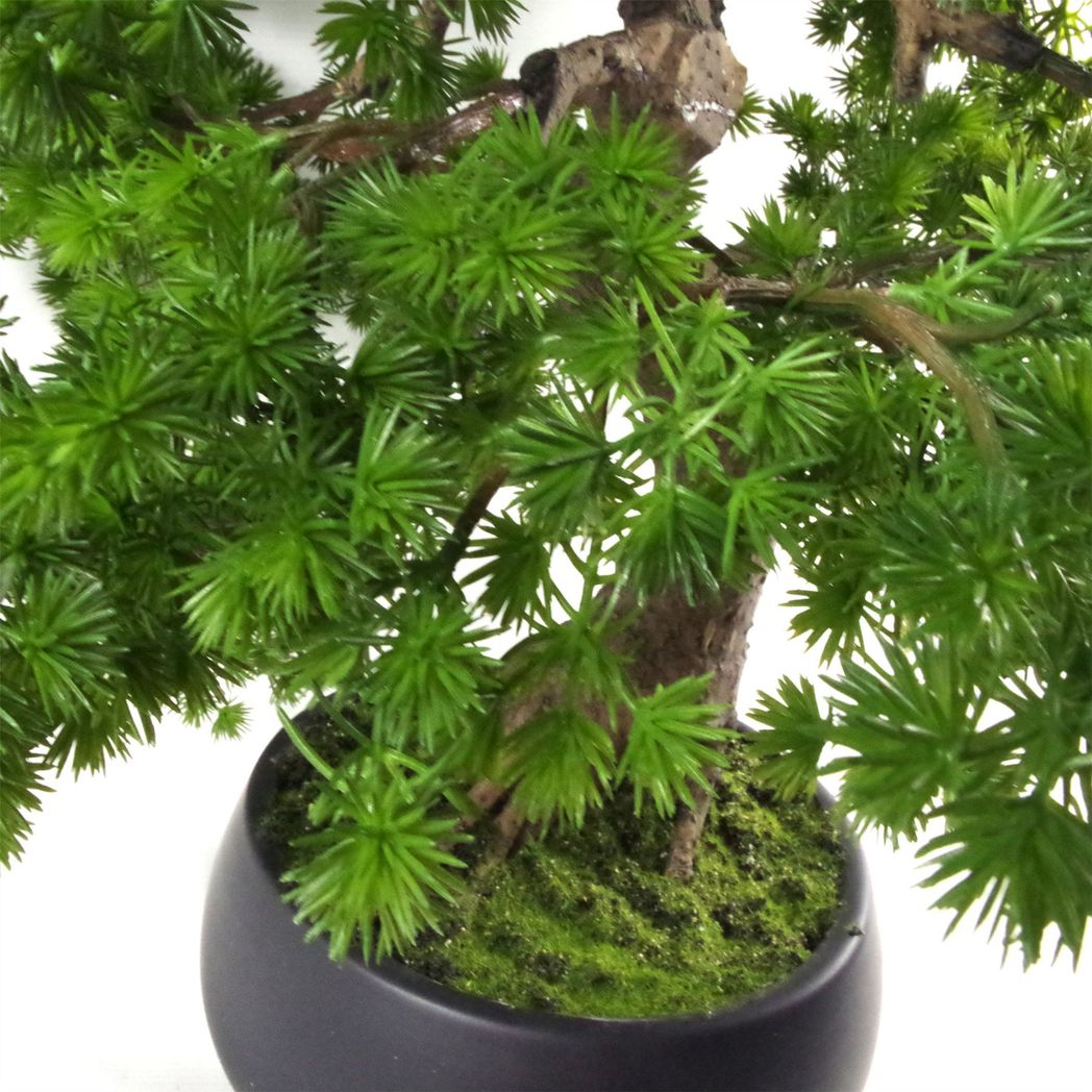 50cm Small Luxury Pine Artificial Bonsai Tree – Realistic Faux Pine in Black Ceramic Bowl