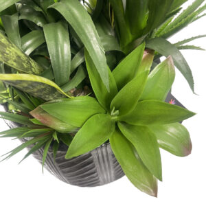 107cm Large Artificial Yucca Plant – Realistic Indoor Yucca in Decorative Cement Planter