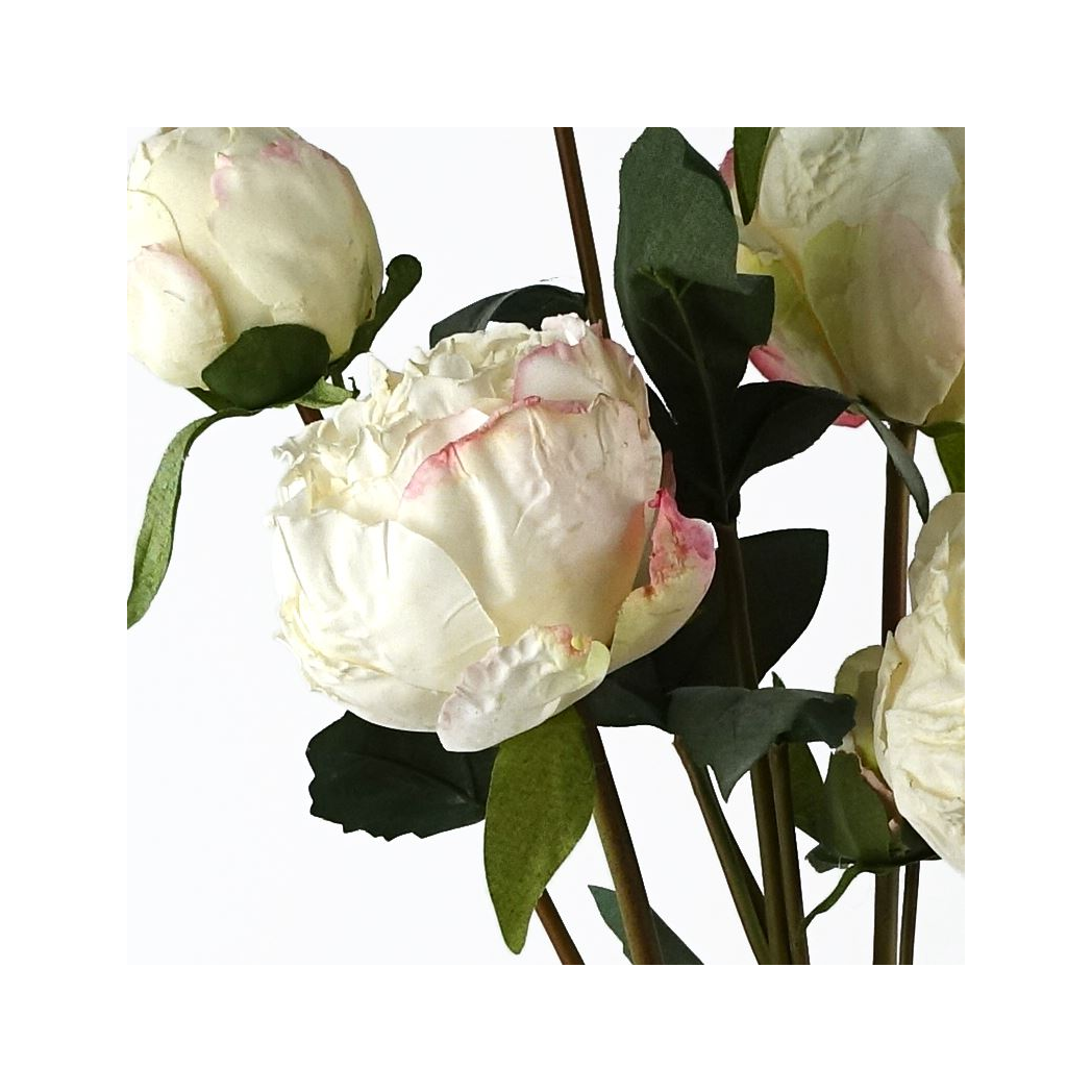 55cm Small Premium Artificial Cream Peony Spray – Realistic Faux Peony with 4 Flowers & 3 Buds