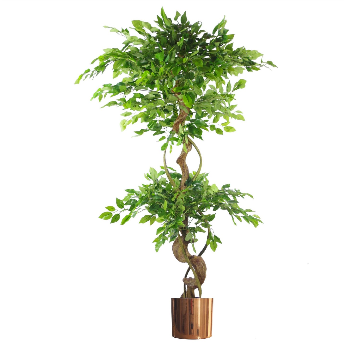 150cm Large Artificial Ficus Tree – Twisted Trunk Japanese Fruticosa Style with Copper Planter