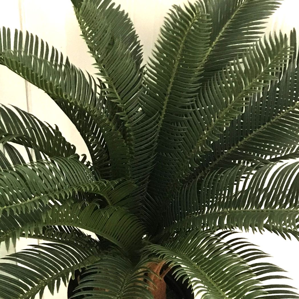 70cm Medium Artificial Cycas Palm Plant – Tropical Green Foliage