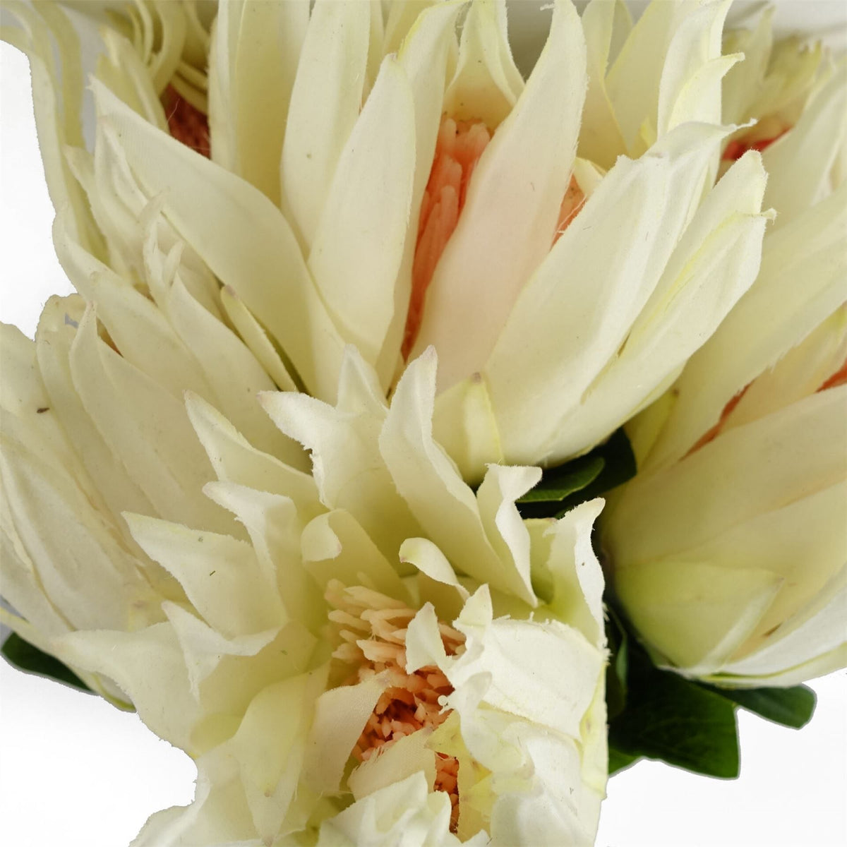 65cm Medium Artificial White Protea Flower – Realistic Faux Sugarbush Stem