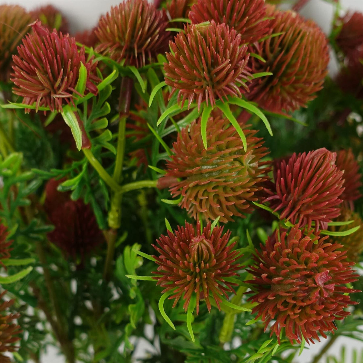 6 x 55cm Small Artificial Red Craspedia Flowers – Realistic Faux Stems