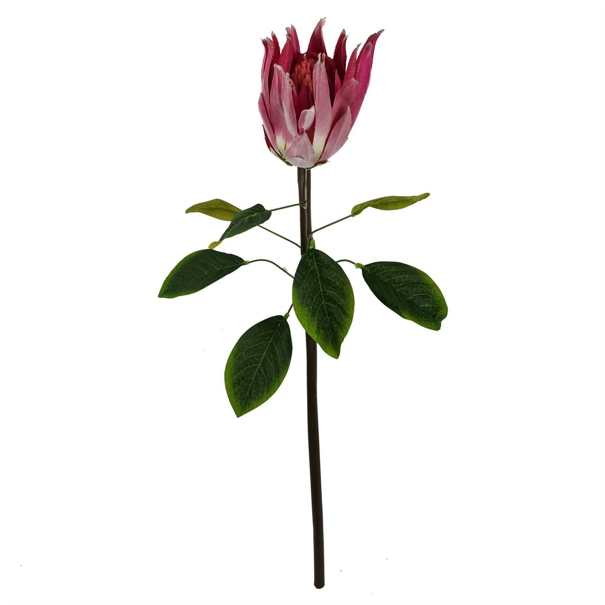 6 x 65cm Medium Artificial Pink Protea Flowers – Realistic Faux Sugarbush Stems