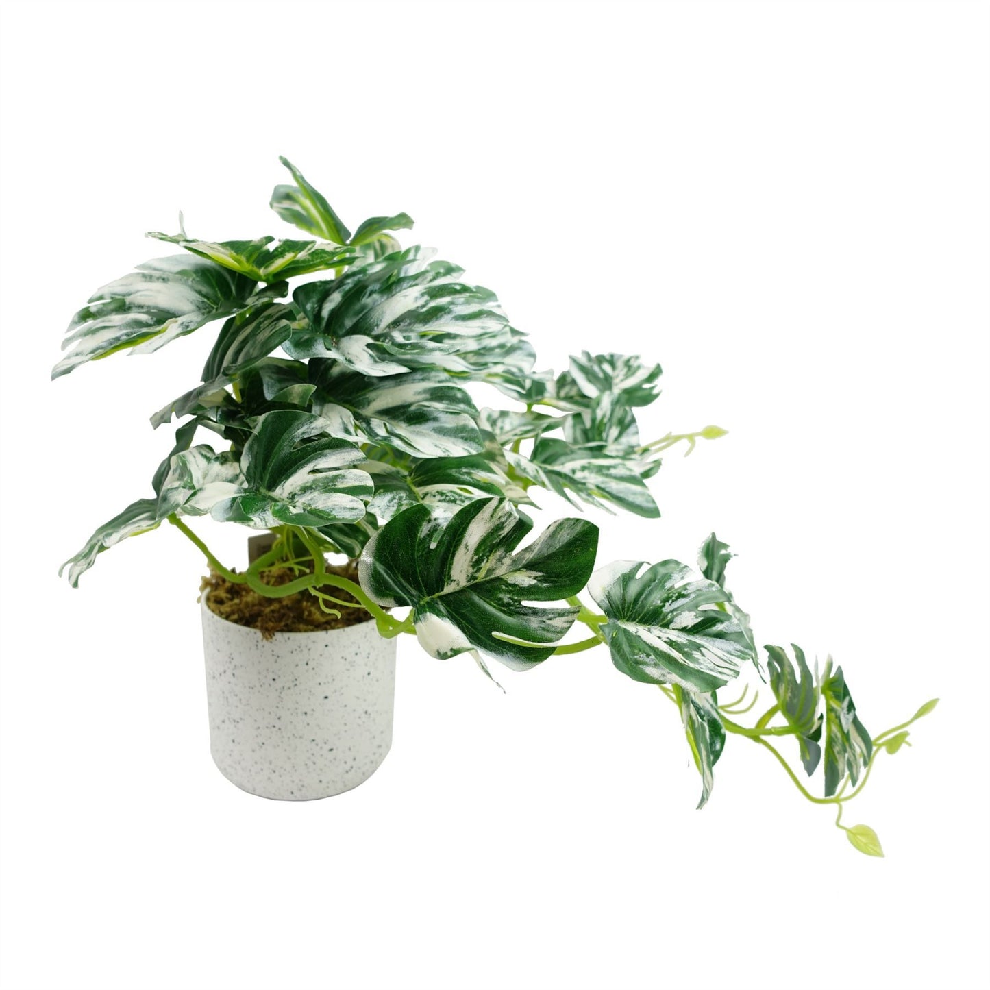 30cm Small Variegated Green Artificial Monstera Trailing Plant – Realistic Faux Monstera in White Planter