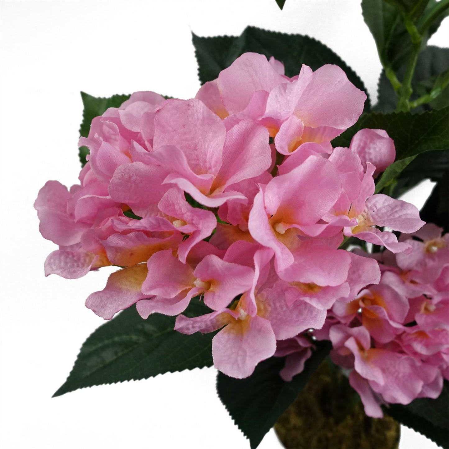 55cm Small Artificial Pink Hydrangea Plant – Lifelike Faux Hydrangea with Decorative Planter