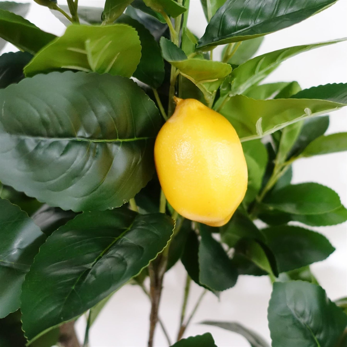 150cm Large Artificial Lemon Tree – Realistic Faux Lemon Tree for Mediterranean-Inspired Décor