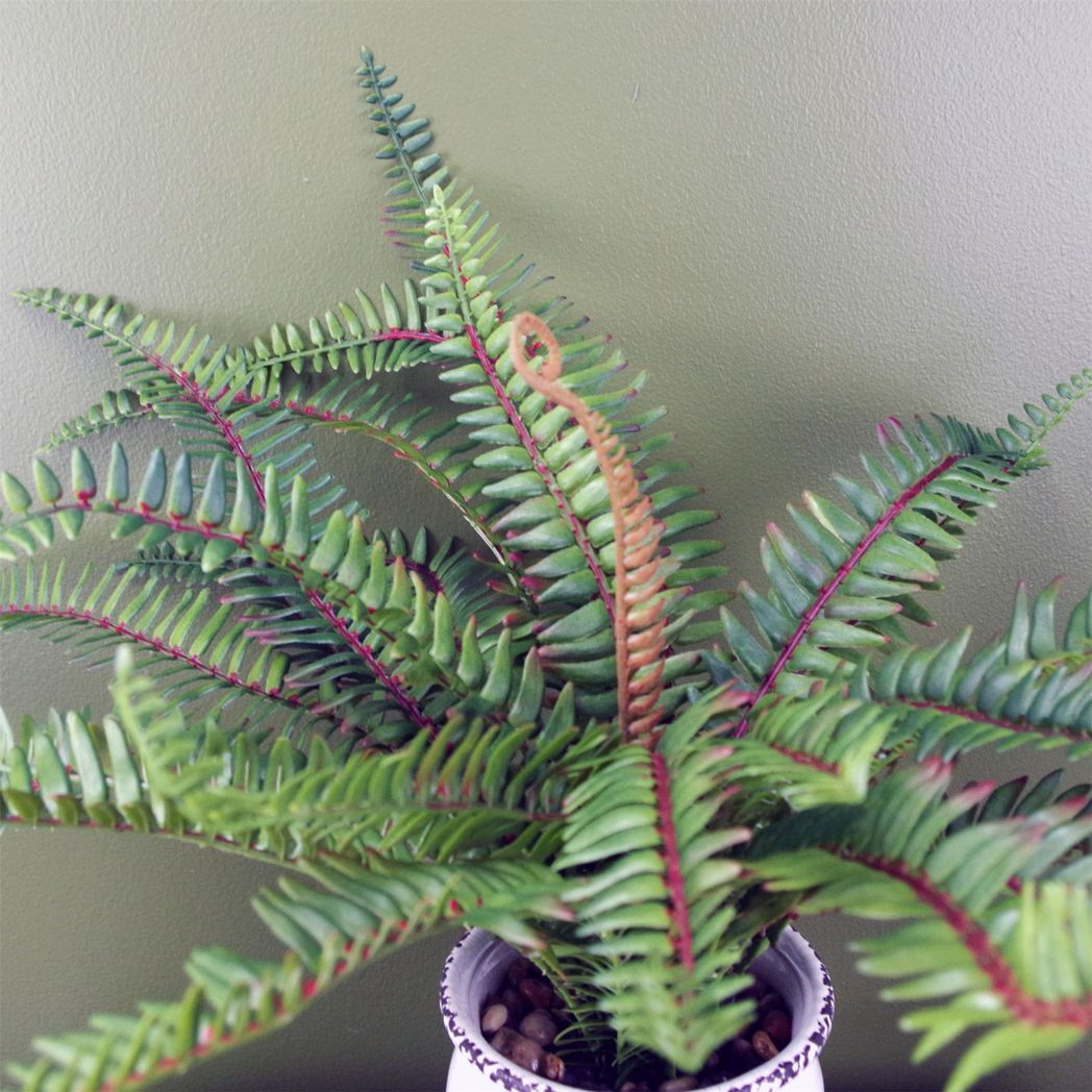 40cm Small Artificial Bushy Fern in Decorative Planter – Faux Potted Fern