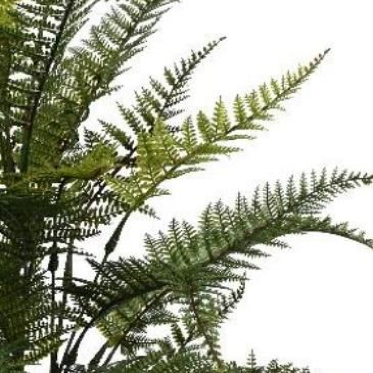 6 x 78cm Medium Artificial Fern Foliage Branches – Fire Retardant Faux Fern Stem Set