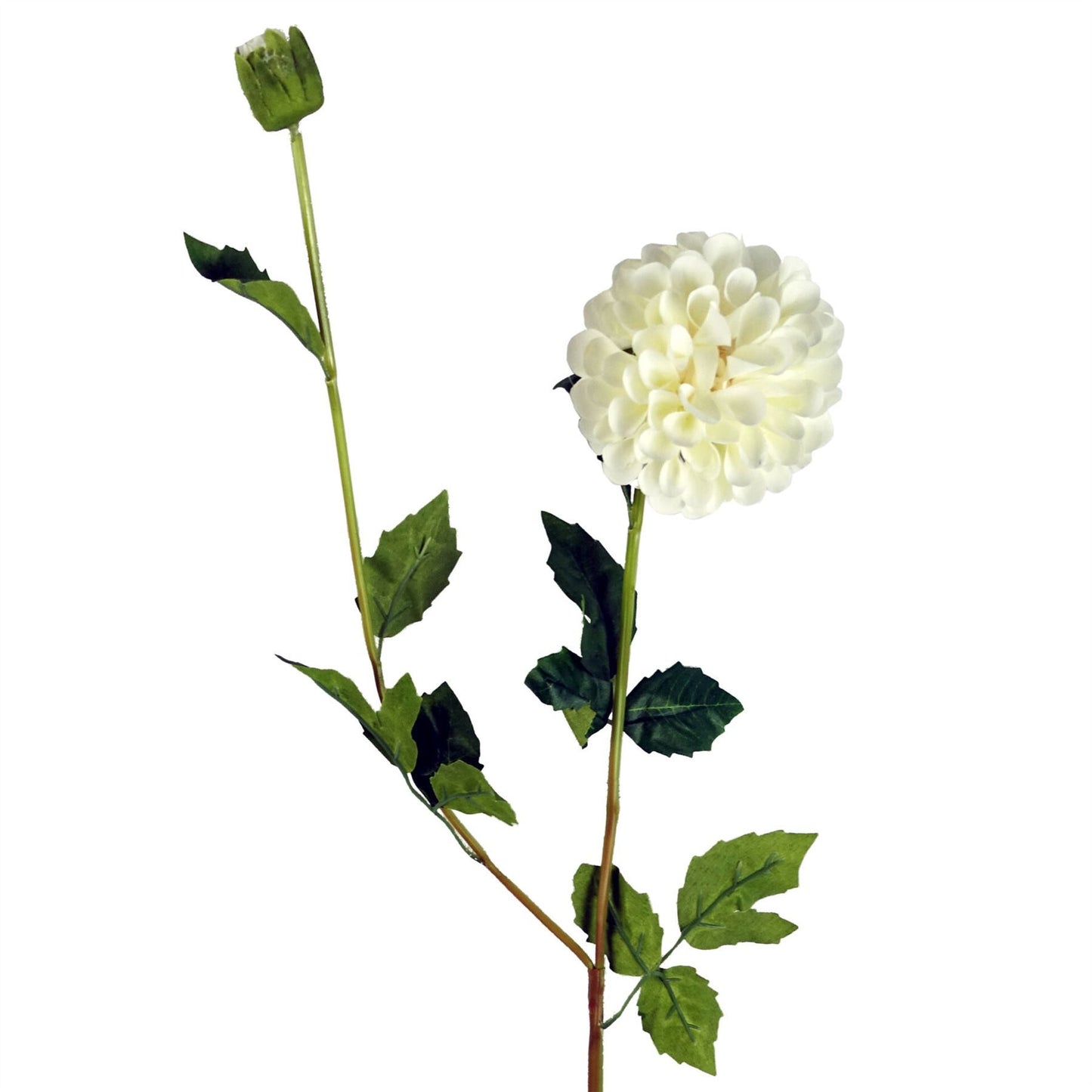 6 x 75cm Medium Artificial Cream Dahlia Pompom Flowers – Faux Dahlia Stems