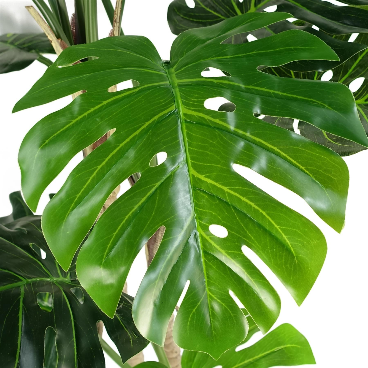 150cm Extra Large Luxury Monstera Artificial Plant with Silver Metal Planter – Lifelike Indoor Tropical Plant