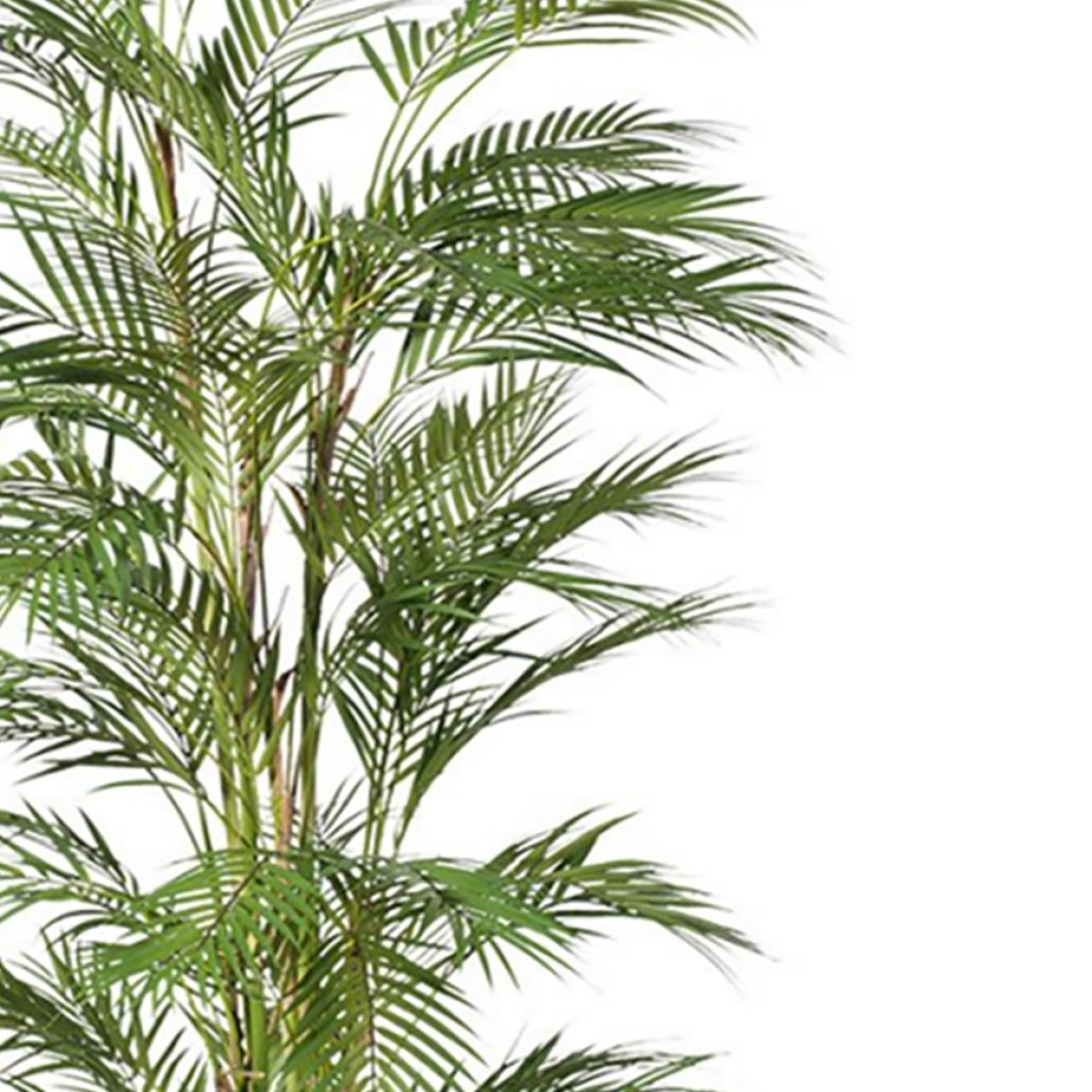 180cm Large Areca Artificial Palm Tree – UV Resistant Outdoor Tropical Palm