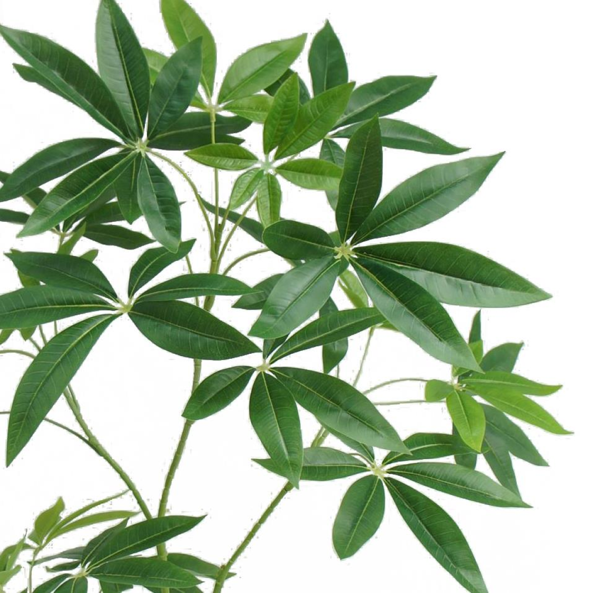 120cm Medium Artificial Money Tree Pachira – Realistic Faux Plant