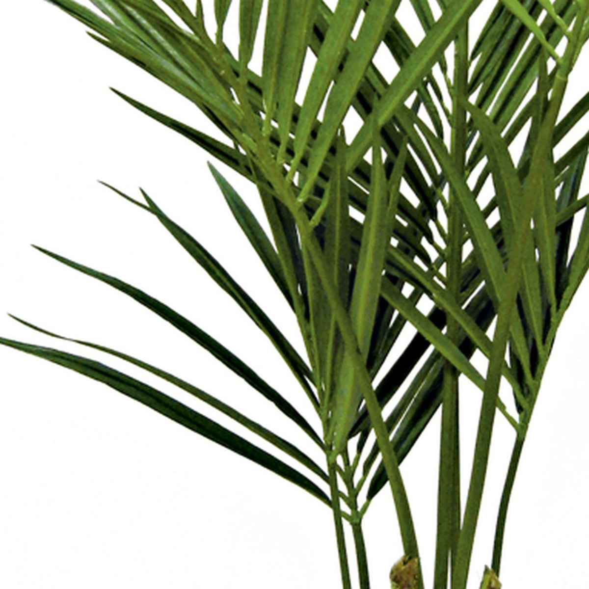 150cm Large Artificial Kentia Palm Tree – Realistic Indoor Tropical Plant