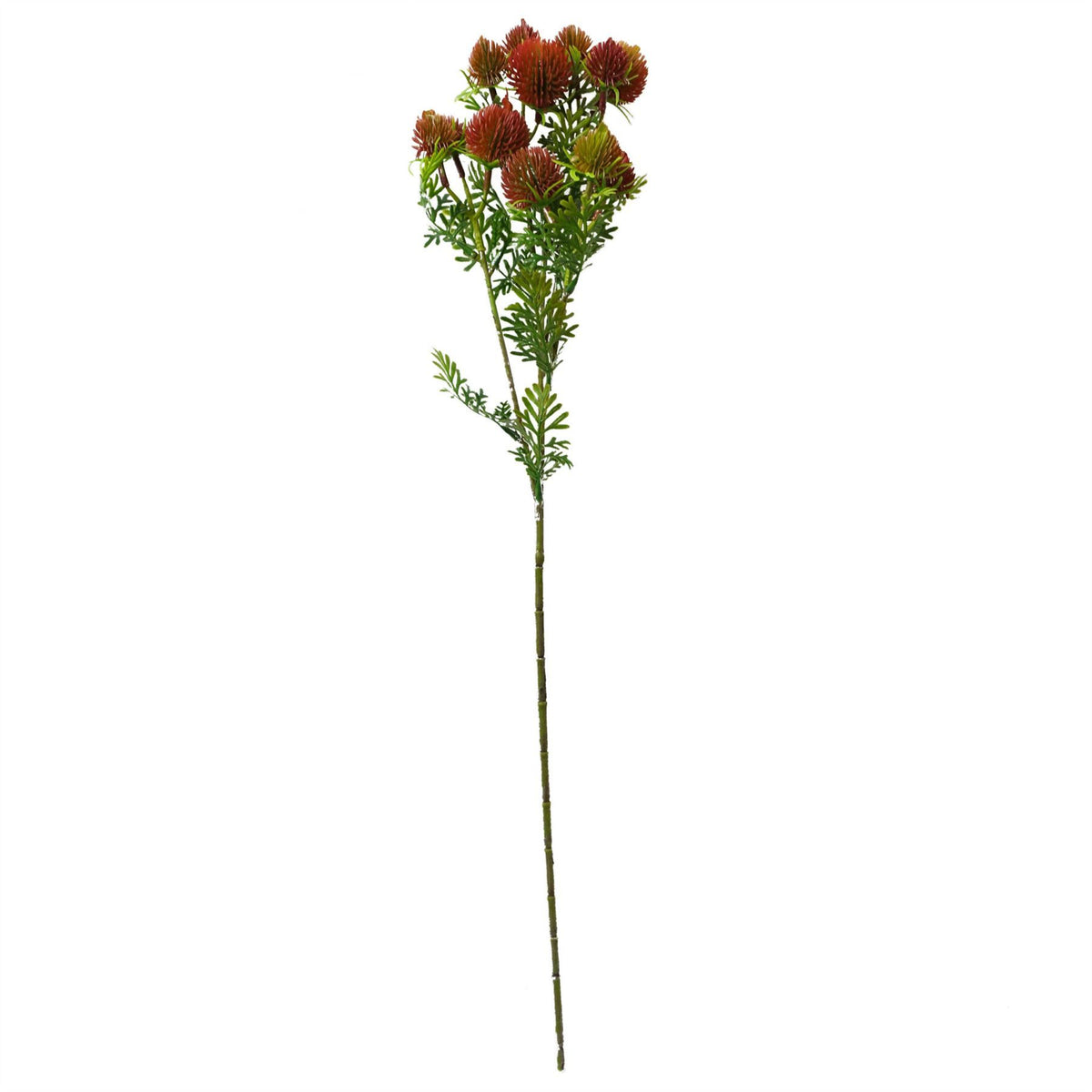 6 x 55cm Small Artificial Red Craspedia Flowers – Realistic Faux Stems