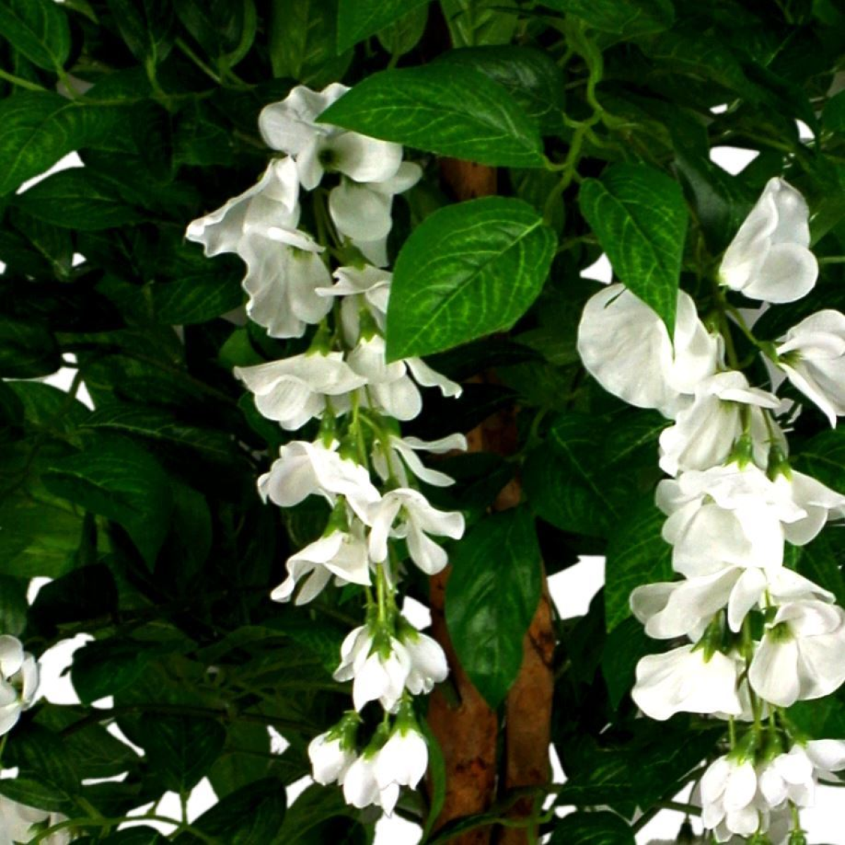 130cm Large Artificial White Wisteria Tree with Gold Planter – Premium Faux Tree