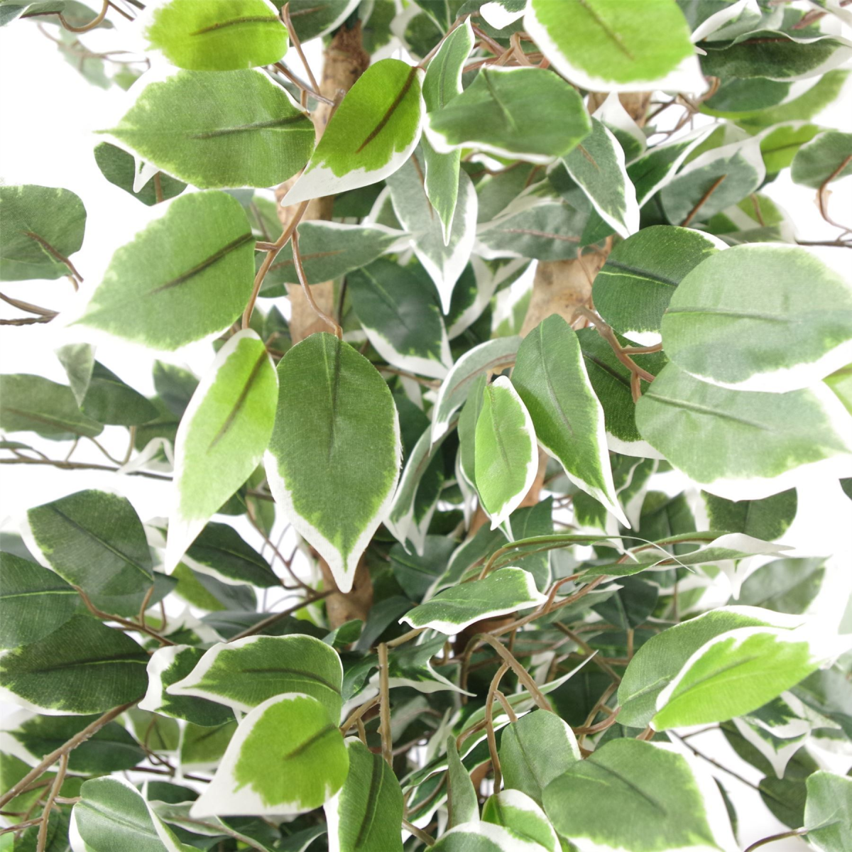 130cm Large Artificial Variegated Bushy Ficus Tree with Silver Planter – Realistic Faux Indoor Tree