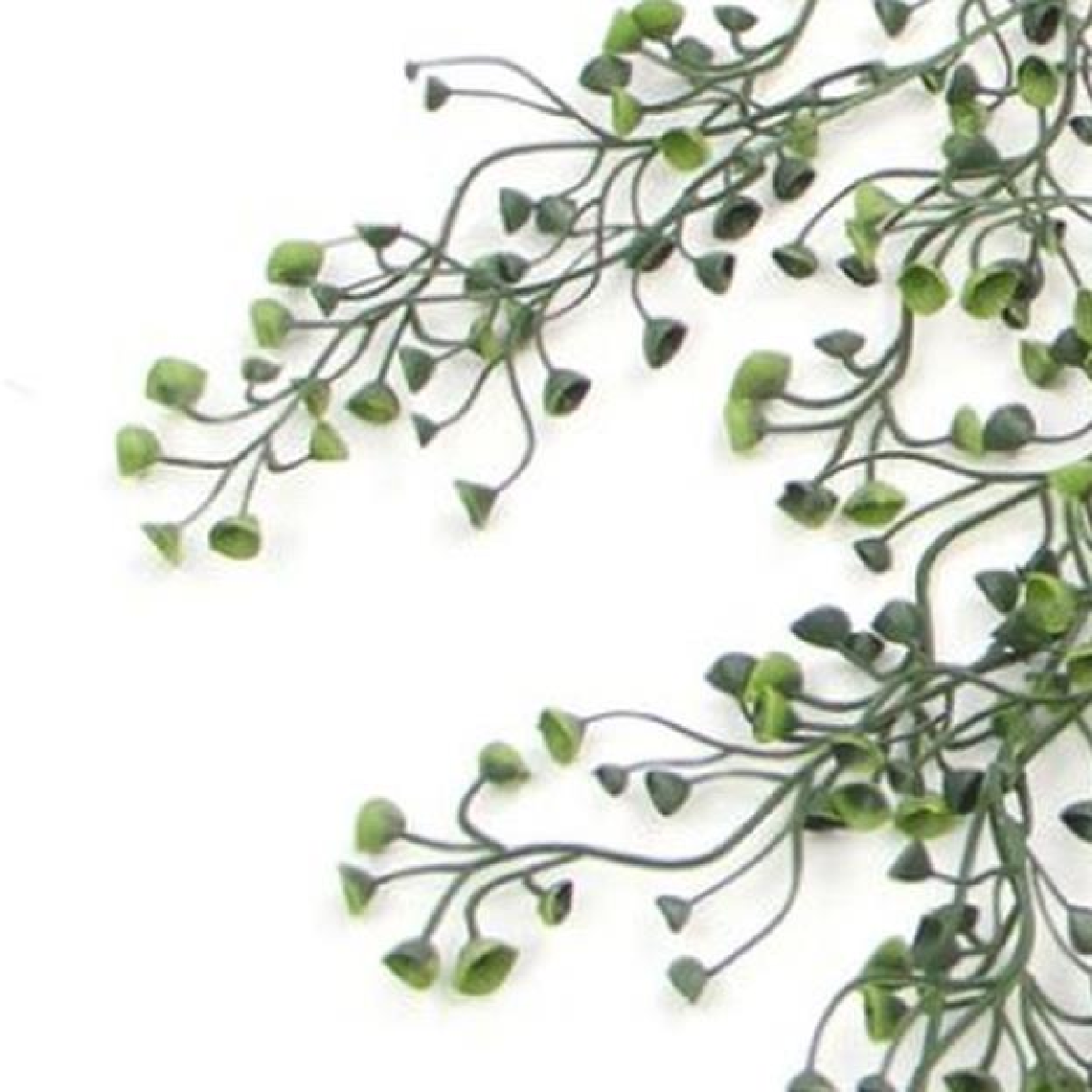 75cm Medium Artificial Hanging String of Pearls – UV & Fire Resistant Trailing Plant