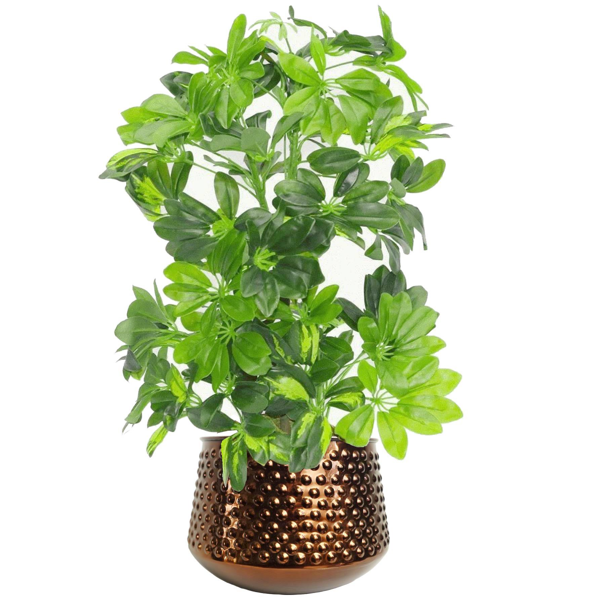 24cm x 18cm Medium Antique Copper Metal Planter – Premium Copper Plant Pot