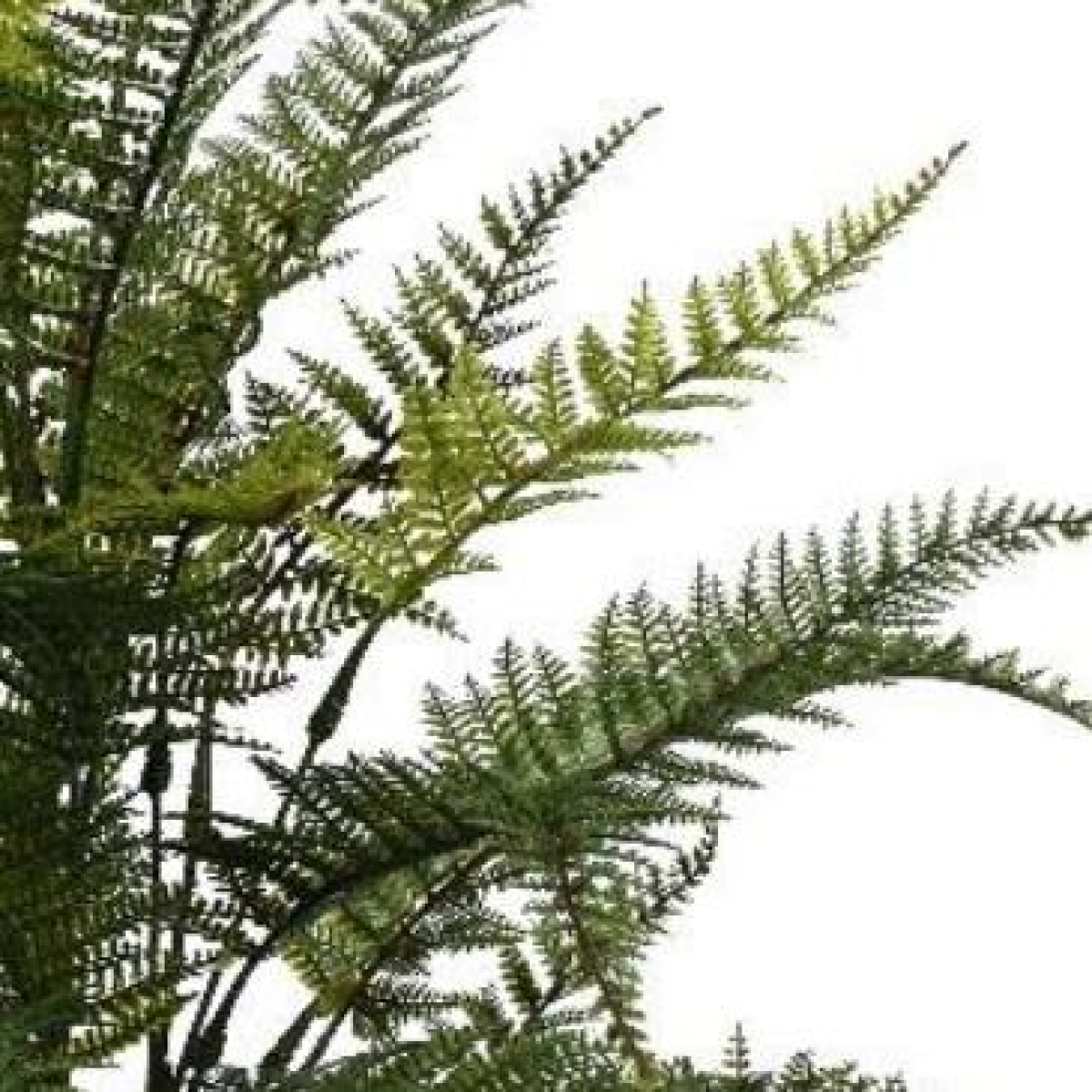 78cm Medium Artificial Fern Foliage Branch – Fire Retardant Faux Fern Stem