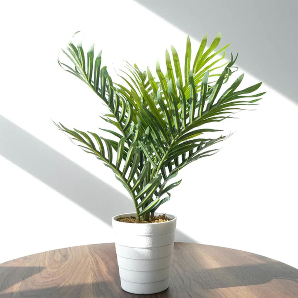 6 x 50cm Small Artificial Palm Trees – Realistic Mini Palms with White Pots