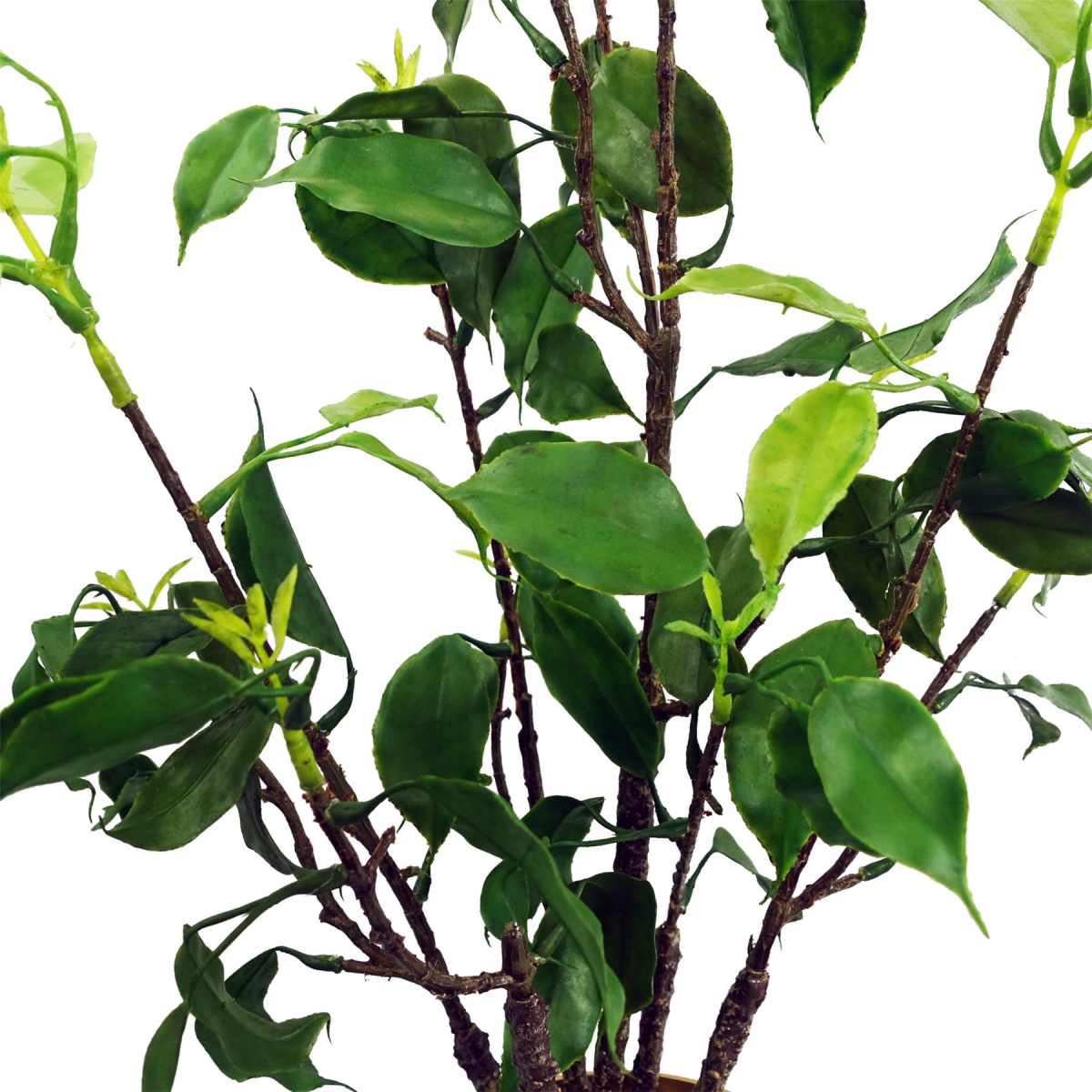 60cm Small Artificial Banyan Bonsai Ficus Tree – Realistic Faux Indoor Plant in Decorative Pot