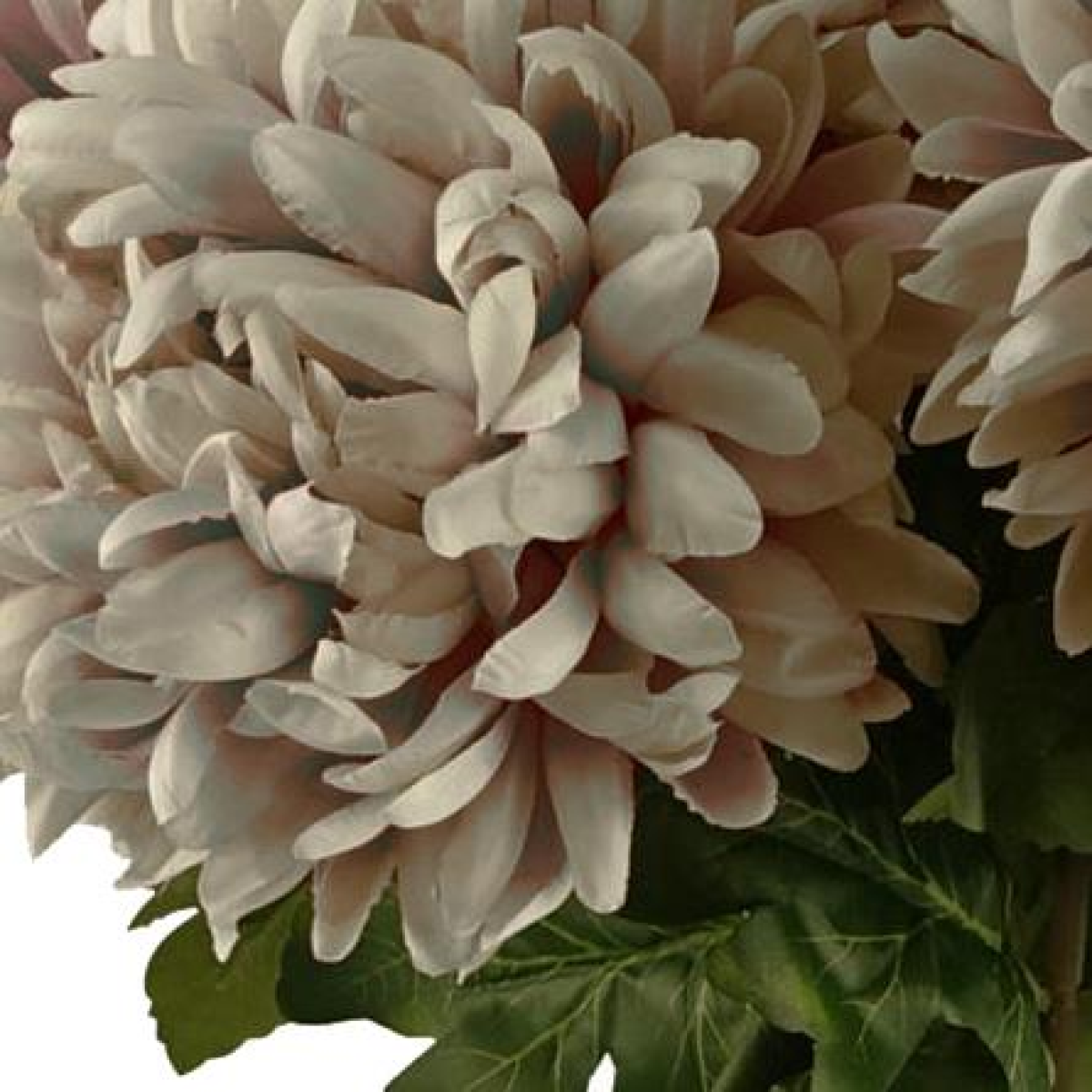 75cm Medium Artificial Mushroom Chrysanthemum Stem – Realistic Reflex Flower