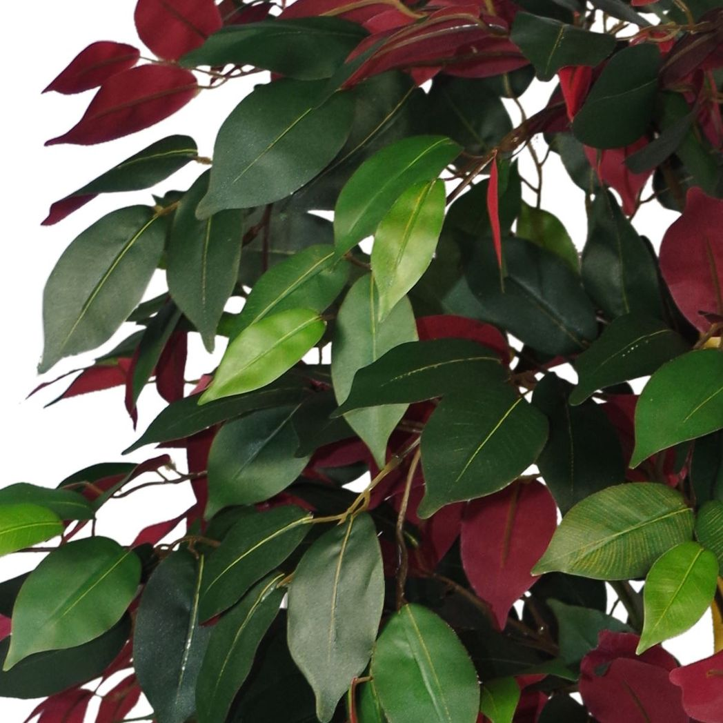 120cm Medium Artificial Capensia Ficus Tree – Realistic Red & Green Foliage Indoor Plant