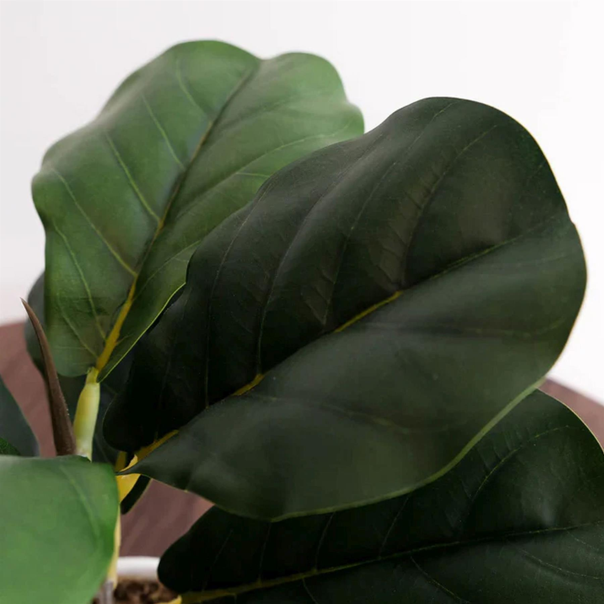38cm Small Artificial Fiddle Leaf Fig Plant in White Pot – Indoor Ficus